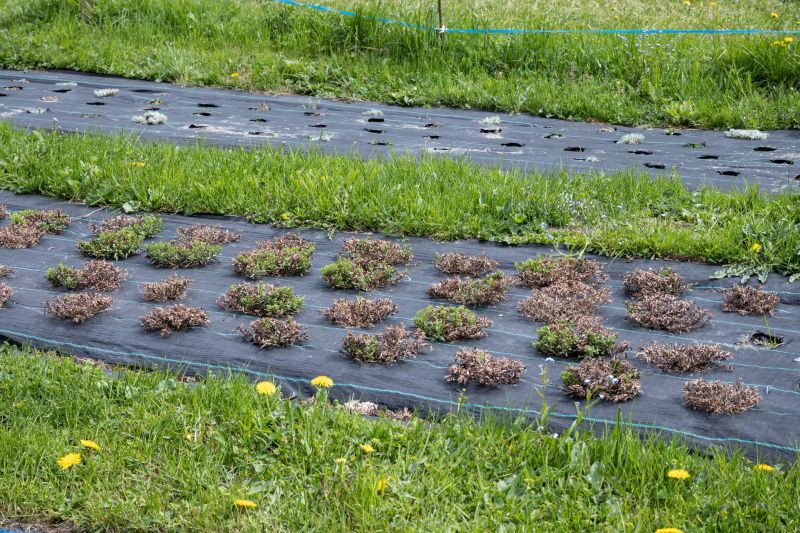 Leaf Barrier Installation