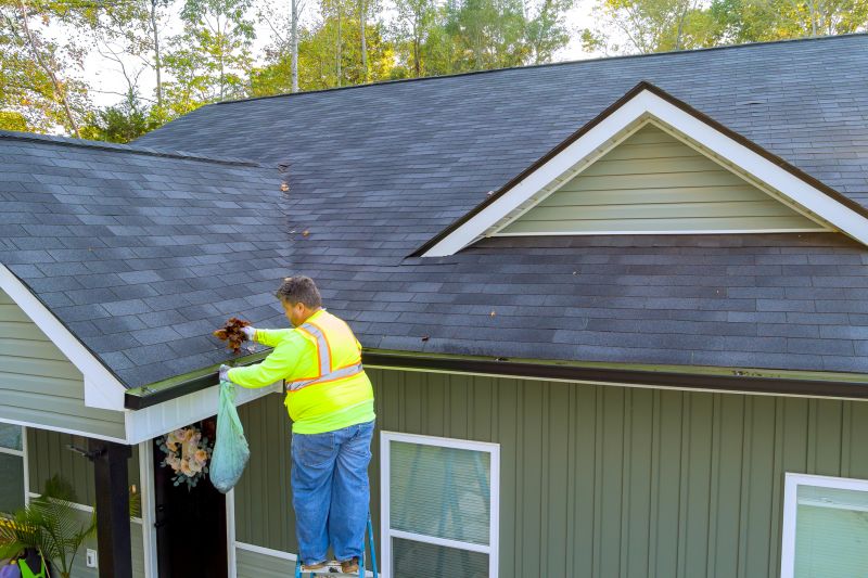Gutter Cover Professionals at Work