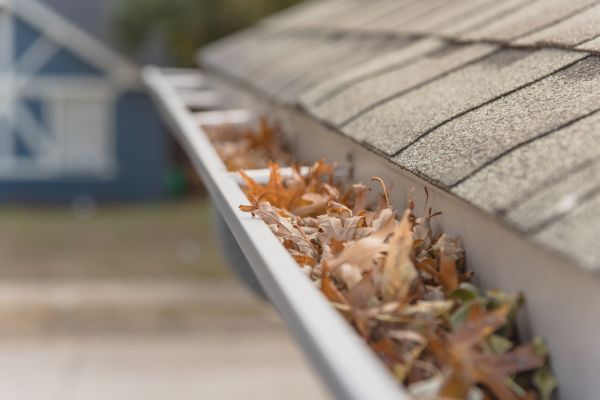 Leaf Barrier Installation in Bel Air